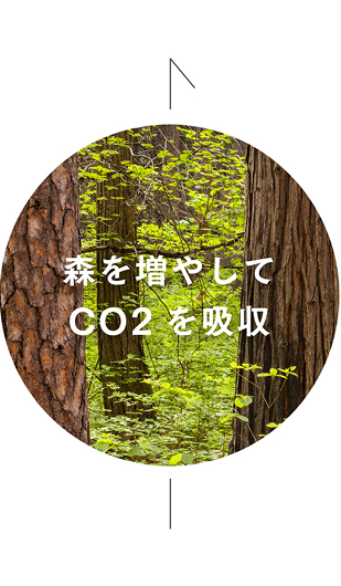 森を育て
CO2を吸収